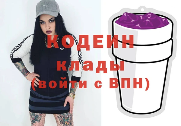 соль ск Арсеньев