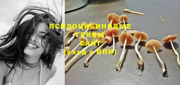 соль ск Арсеньев