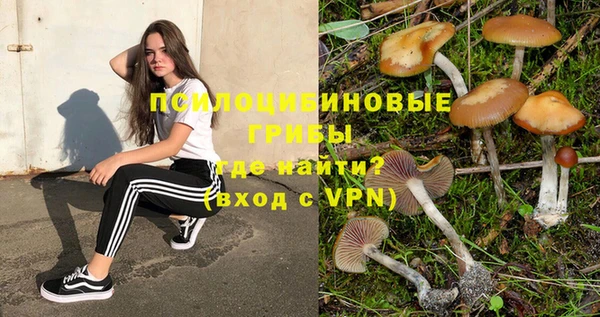ГАЛЛЮЦИНОГЕННЫЕ ГРИБЫ Армянск